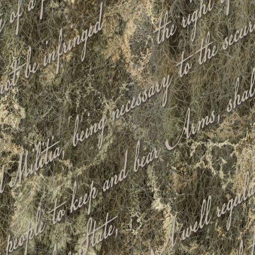 Second Amendment 22 Camouflage