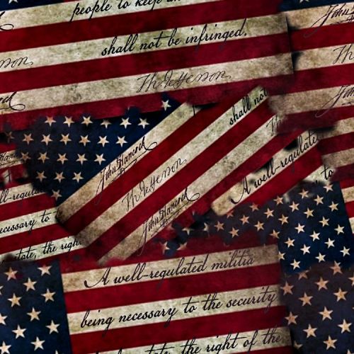 Second Amendment Flag 22