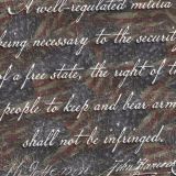 Second-Amendment-Over-Flags