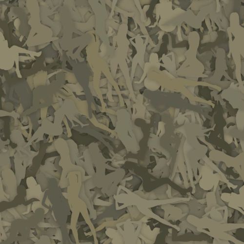 Sexy Camouflage