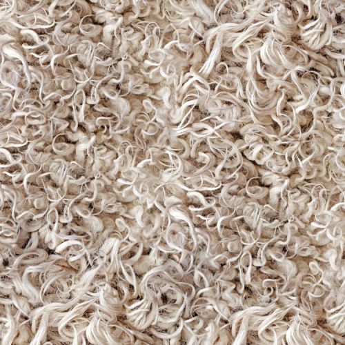 Sheep Skin