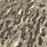 Shoshone-Mountain-Camo.jpg