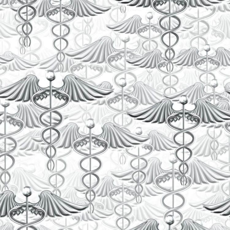 Silver Caduceus 24