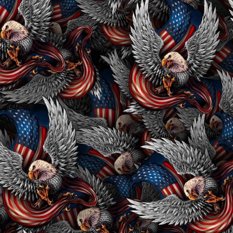 Silver Eagle Flag 26
