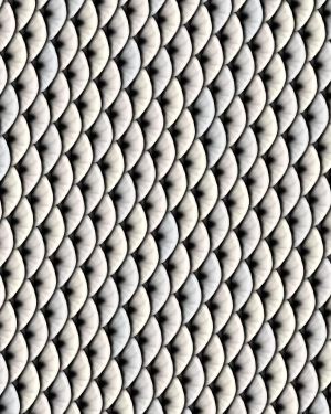 Silver Fish Scales 22