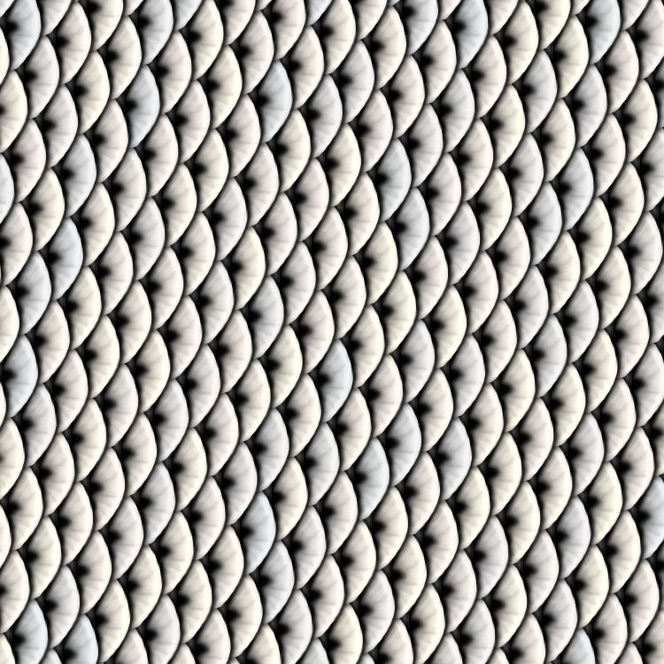 Silver Fish Scales 22