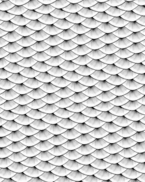 Silver Fish Scales 23