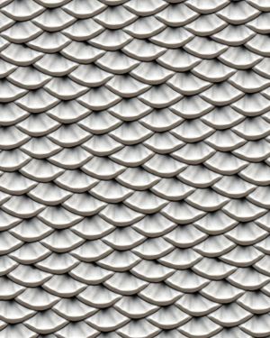 Silver Fish Scales 24