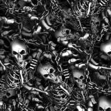 Skeleton-in-Chains-23-thumb.jpg