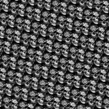 Skull-Carbon-Fiber