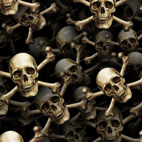 Skull & Cross Bones 26