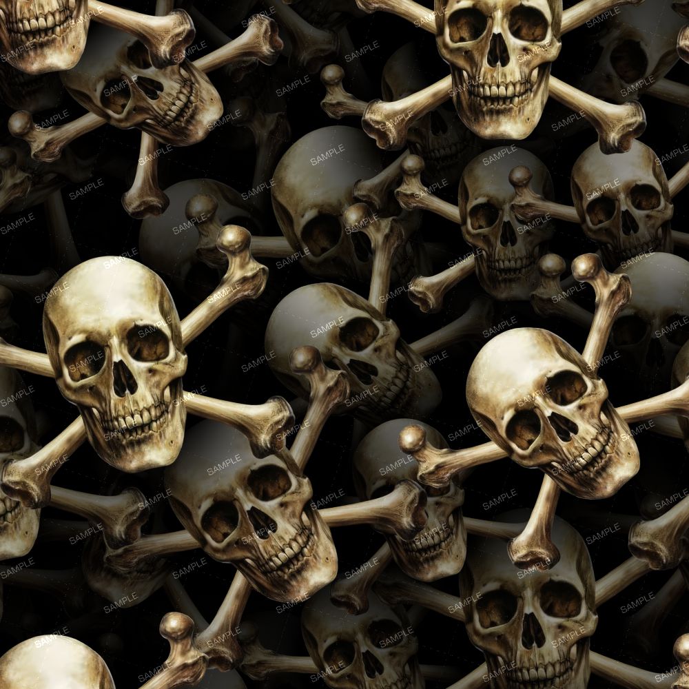 Skull & Cross Bones 26