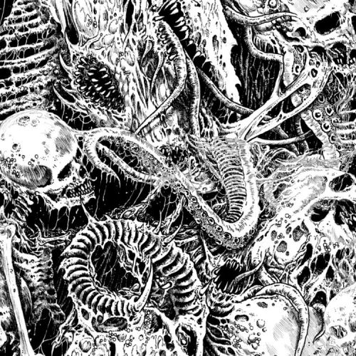 Skull Extraction