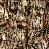 Skull-Tree-Camo-25