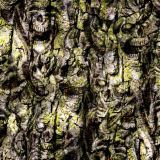 Skull-Tree-Camo-26