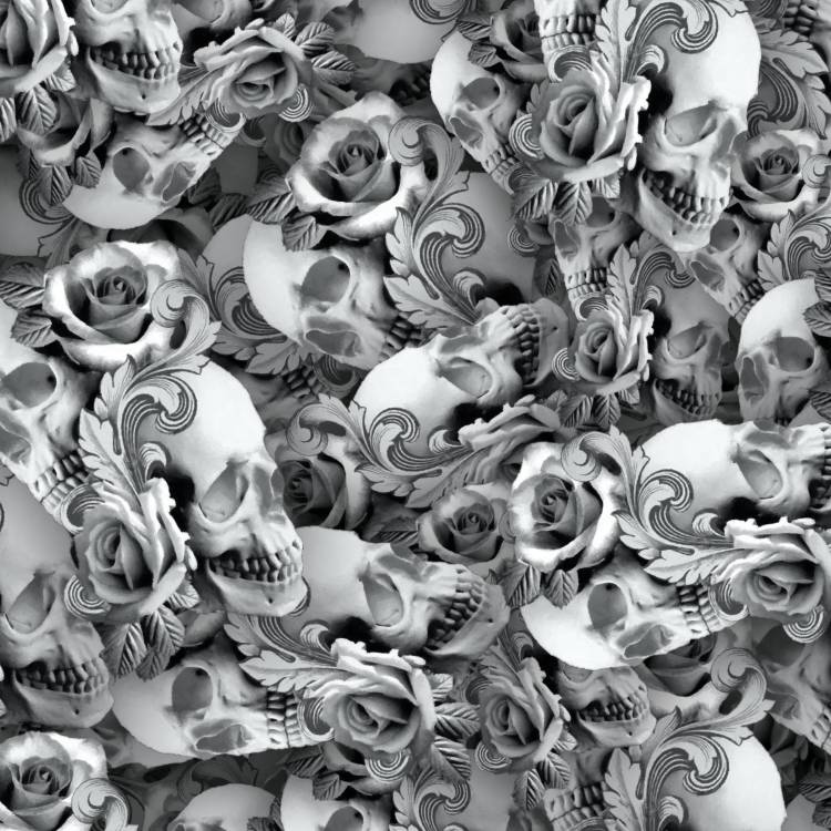 Skull and Roses 45