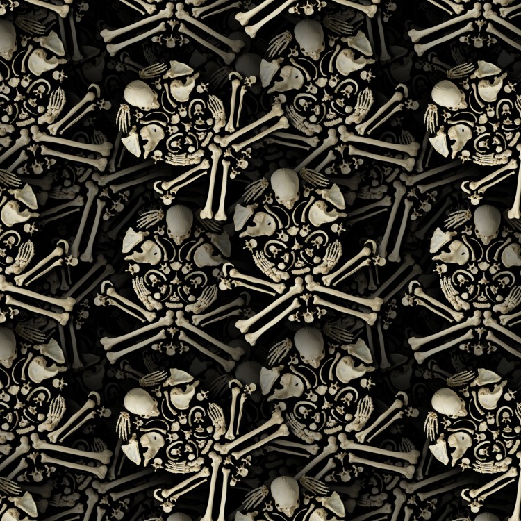 Skull of Bones 23