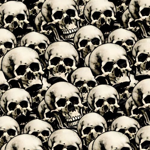 Skulls 46