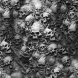 Skulls-63