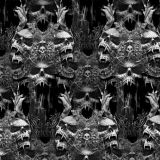 Skulls-65