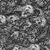 Skulls-and-Roots