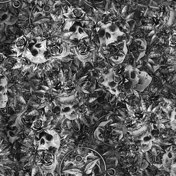 Skulls of Midas 23