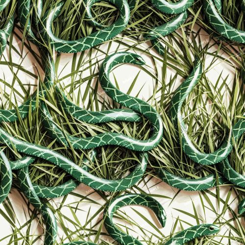 Snake in the Grass 42
