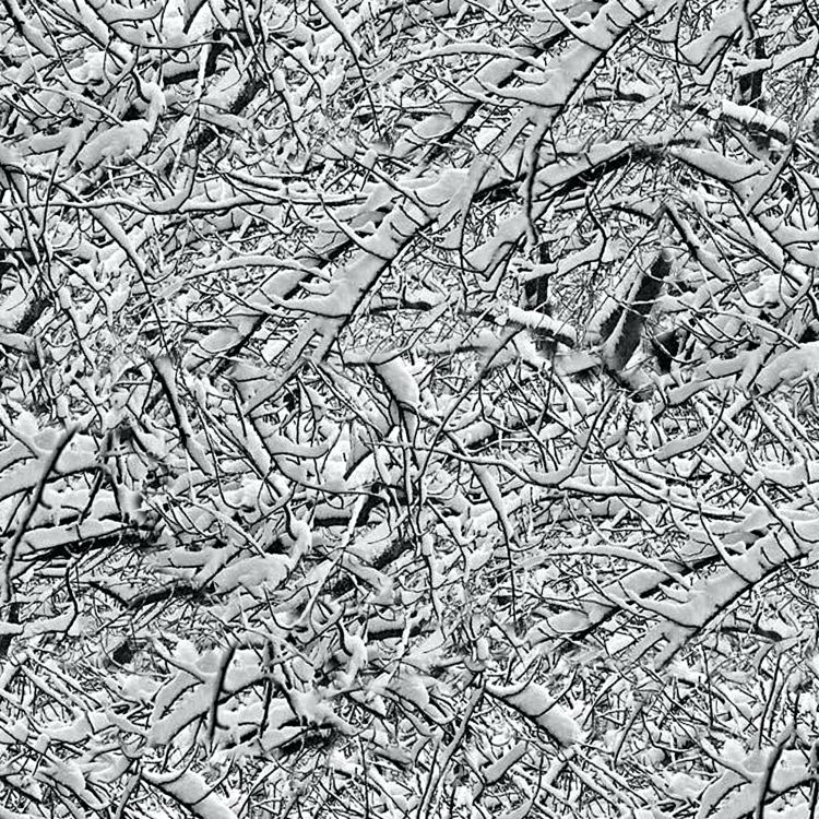 Snow Branches 22 Camouflage