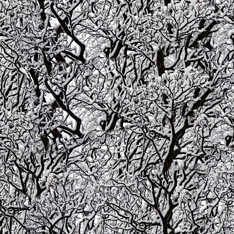 Snow Tree 22 Camouflage