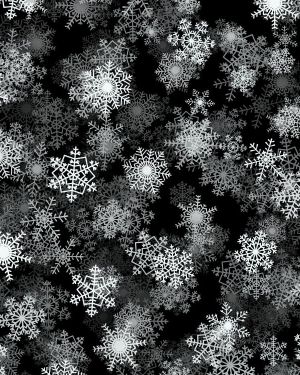 Snowflakes 19