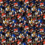 Sonic-23.jpg