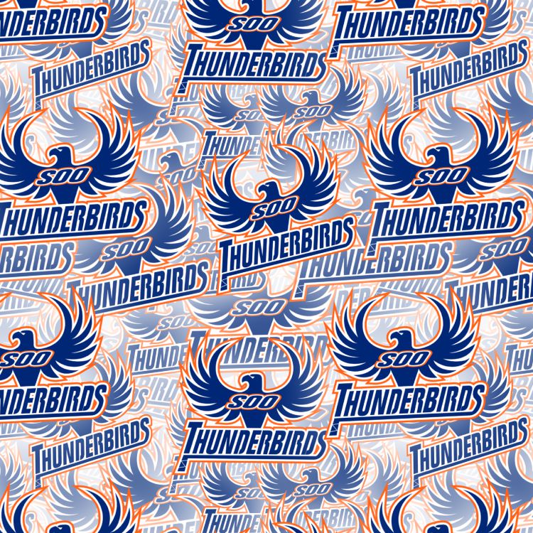 Soo Thunderbirds 23