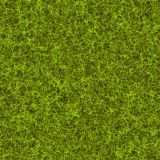 Space-Time-Green-thumb