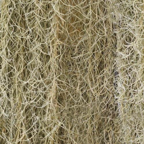 Spanish Moss Camouflage