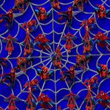 Spiderman-29