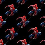 Spiderman-on-the-Web-23.jpg
