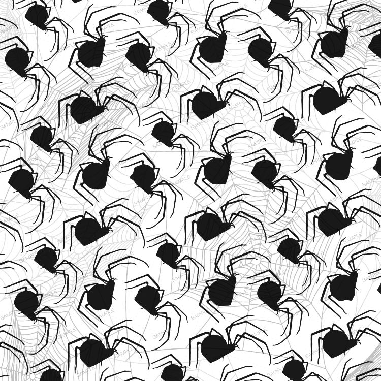 Spiders Everywhere 22