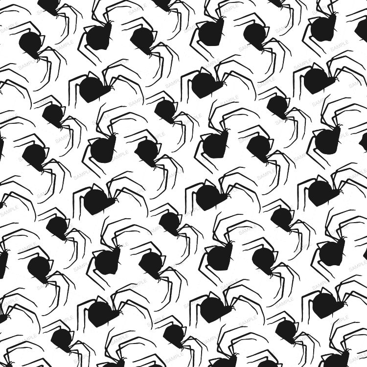 Spiders Everywhere 23