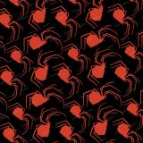 Spiders-Everywhere-24
