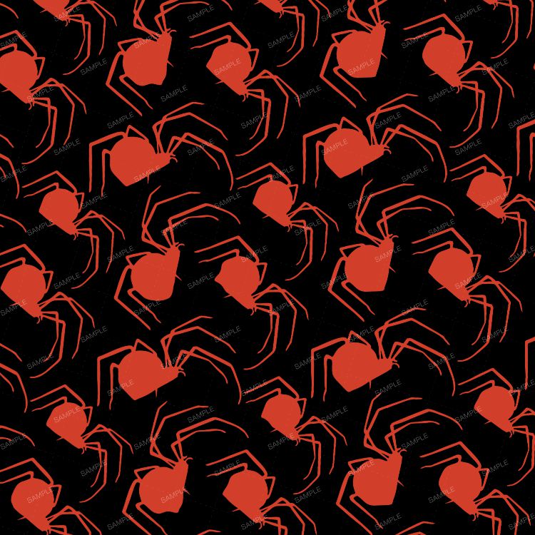 Spiders Everywhere 24