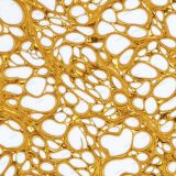 Splashed-Molten-Gold