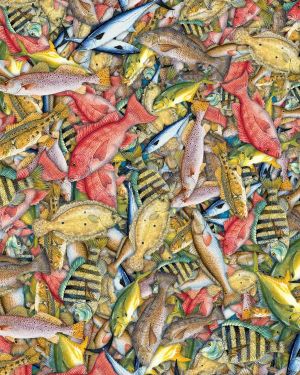 Sport Seafish