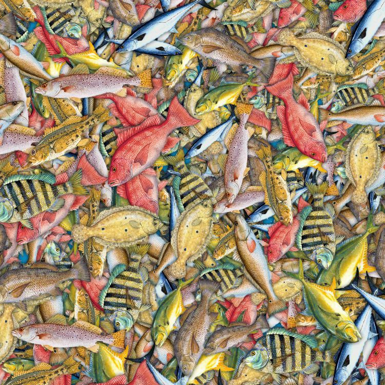 Sport Seafish