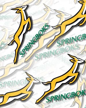 Springboks Rugby 23