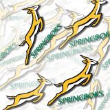 Springboks-Rugby-23