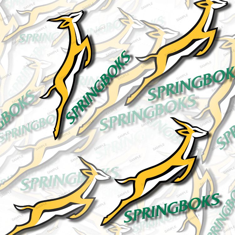 Springboks Rugby 23