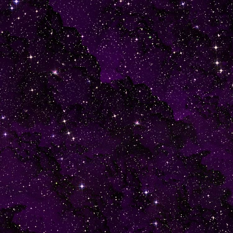 Starfield 24