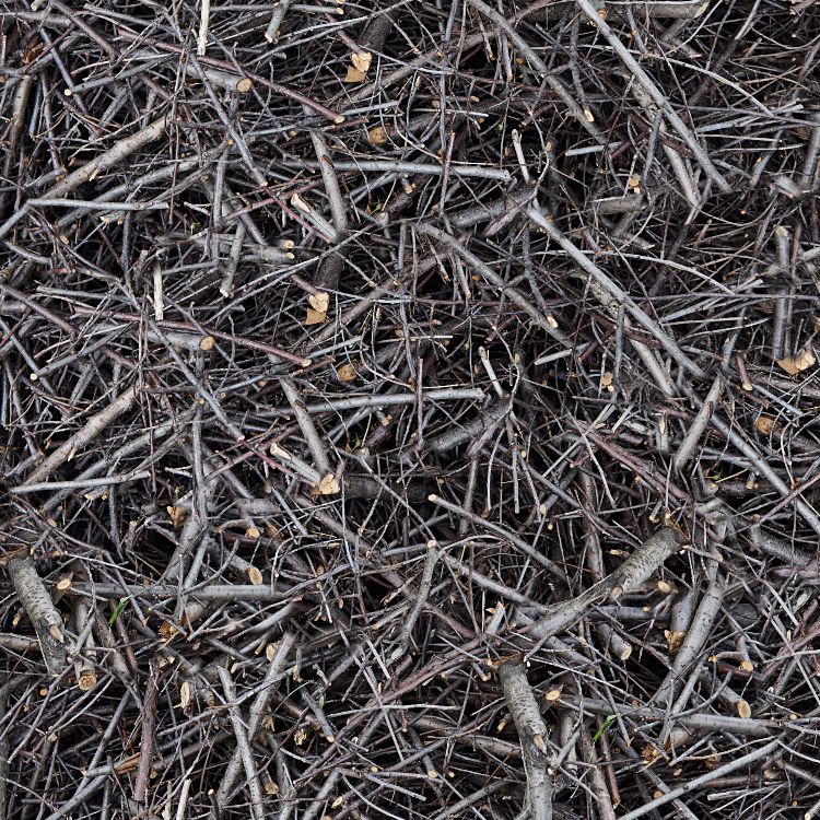 Stick Camouflage 22