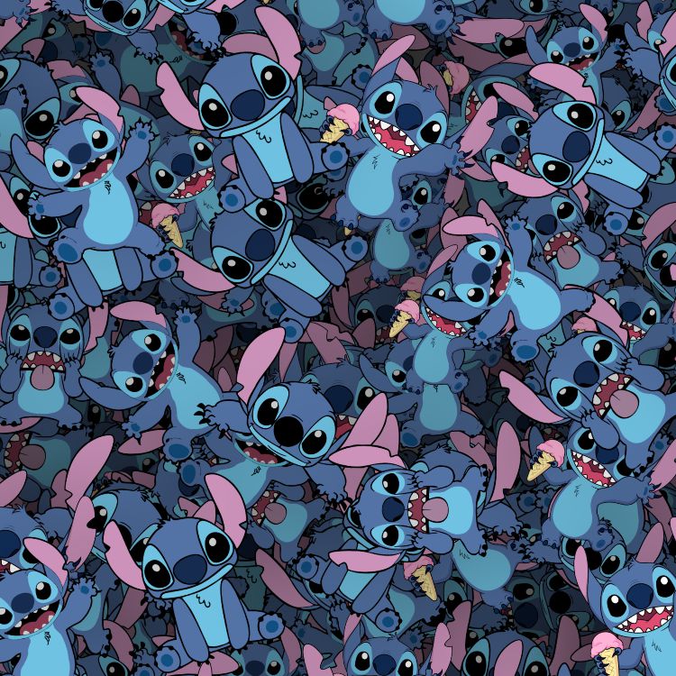 Stitch 24