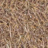 Straw-Blind-Camo-22